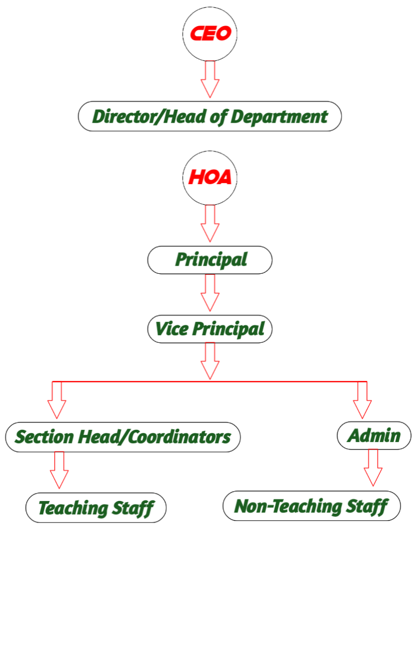 This is the image of organizational chart.